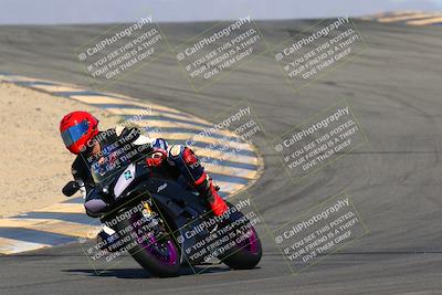 media/Mar-28-2022-Superbike Trackdays (Mon) [[b8603d0f67]]/Open Track Time/Turns 9 and 10/